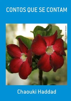 Contos Que Se Contam (eBook, PDF) - Haddad, Chaouki