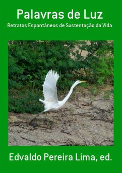 Cover Palavras De Luz (eBook, PDF)