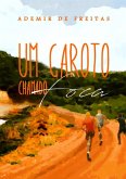 Um Garoto Chamado Foca (eBook, PDF)