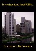 Terceirização No Setor Público (eBook, PDF)
