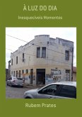 À Luz Do Dia (eBook, PDF)