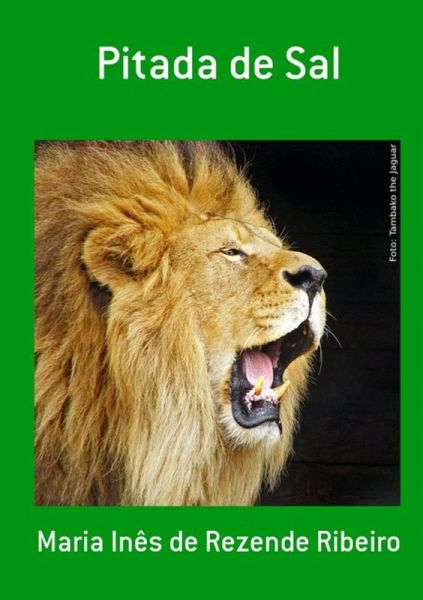 Pitada De Sal (eBook, PDF)