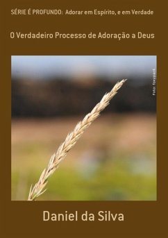 Série É Profundo: Adorar Em Espírito, E Em Verdade (eBook, PDF) - Da Silva, Daniel