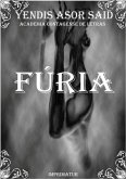 Fúria (eBook, PDF)