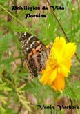 Privilégios Da Vida (eBook, PDF)