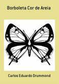 Borboleta Cor De Areia (eBook, PDF)