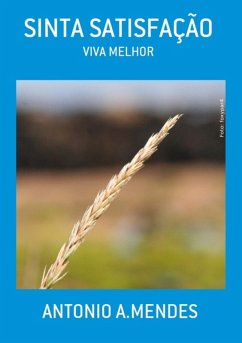 Sinta Satisfação (eBook, PDF) - A. mendes, Antonio