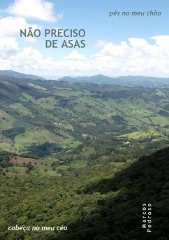 Cover Não Preciso De Asas (eBook, PDF)