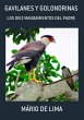 Gavilanes Y Golondrinas (eBook, PDF) - Bild 1