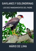Gavilanes Y Golondrinas (eBook, PDF) Gavilanes Y Golondrinas (eBook, PDF)