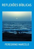 Reflexões Bíblicas (eBook, PDF)