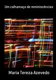 Um Calhamaço De Reminiscências (eBook, PDF)