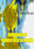 Desvendando Os Segredos Da Lei Da Atração (eBook, PDF)