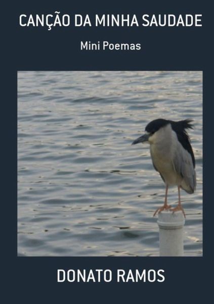 Canção Da Minha Saudade (eBook, PDF)