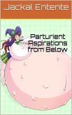 Parturient Aspirations from Below (GnarlyVerse, #2) (eBook, ePUB) Parturient Aspirations from Below (GnarlyVerse, #2) (eBook, ePUB)