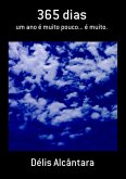 365 Dias (eBook, PDF)