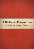 A Bíblia Em Perspectiva: Estudos Em Teologia Bíblica (eBook, PDF)