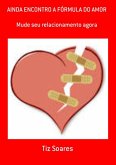 Ainda Encontro A Fórmula Do Amor (eBook, PDF)