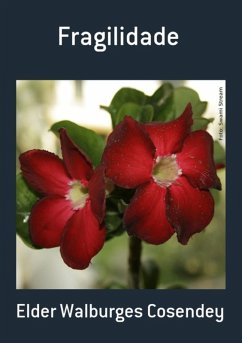 Cover Fragilidade (eBook, PDF)