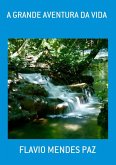 A Grande Aventura Da Vida (eBook, PDF) A Grande Aventura Da Vida (eBook, PDF)