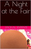 A Night at the Fair (Fair Pentalogy, #2) (eBook, ePUB) A Night at the Fair (Fair Pentalogy, #2) (eBook, ePUB)