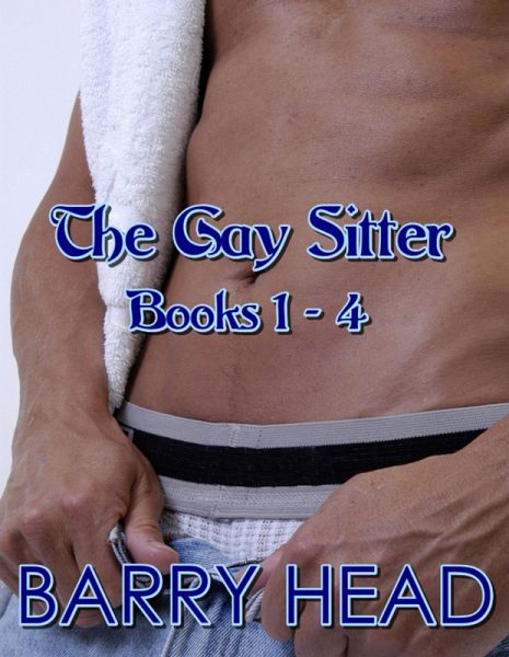 The Gay Sitter (Books 1 - 4) (eBook, ePUB)