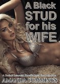 A Black Stud for His Wife: A Cuckold Interracial Hotwife Novel for Adults (Stretched By Black: Cuckold, #8) (eBook, ePUB)