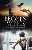 Broken Wings (eBook, ePUB)