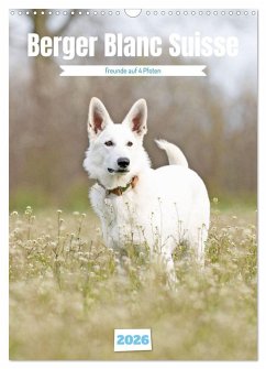 Berger Blanc Suisse - Freunde auf 4 Pfoten (Wandkalender 2026 DIN A3 hoch), CALVENDO Monatskalender