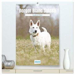 Berger Blanc Suisse - Freunde auf 4 Pfoten (hochwertiger Premium Wandkalender 2026 DIN A2 hoch), Kunstdruck in Hochglanz