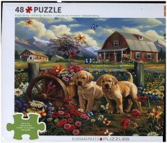 Cover CP48 - Puppy Spring by Shawna Steward