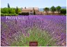 Provence Kalender 2026 - Wandkalender  ... - Bild 1