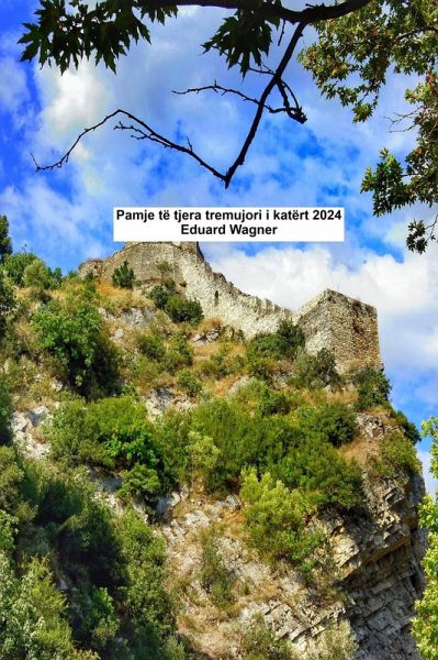 Pamje të tjera tremujori i katërt 2024 (eBook, ePUB) Pamje të tjera tremujori i katërt 2024 (eBook, ePUB)