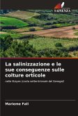 La salinizzazione e le sue conseguenze sulle colture orticole