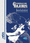 Seis cuerdas de blues (eBook, PDF) Seis cuerdas de blues (eBook, PDF)