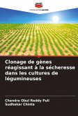 Clonage de gènes réagissant à la sécheresse dans les cultures de légumineuses Clonage de gènes réagissant à la sécheresse dans les cultures de légumineuses