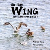 On the Wing - North American Birds 7