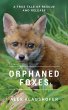 Orphaned Foxes - Bild 1
