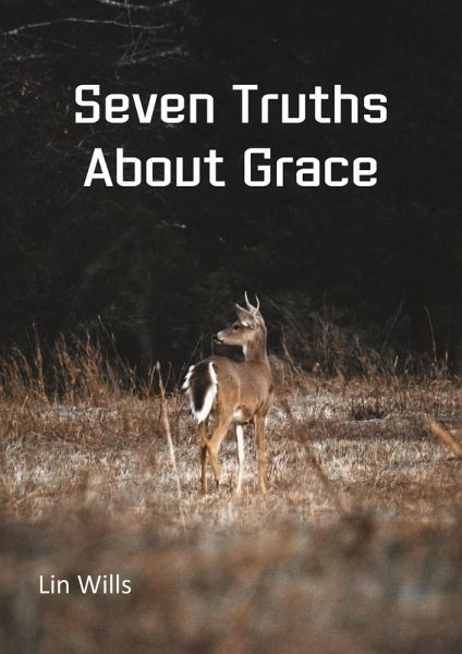Seven Truths About Grace (eBook, ePUB)