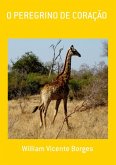 O Peregrino De Coração (eBook, PDF)