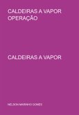 Caldeiras A Vapor Operação (eBook, PDF)