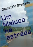 Um Maluco Na Estrada (eBook, PDF)