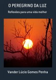 O Peregrino Da Luz (eBook, PDF)