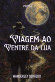 Viagem Ao Ventre Da Lua (eBook, PDF)