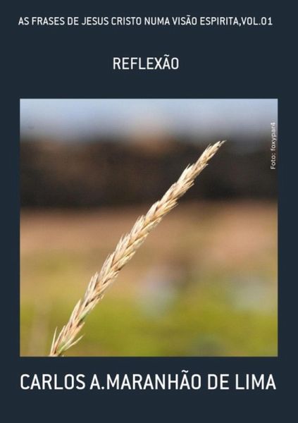 As Frases De Jesus Cristo Numa Visão Espirita,vol.01 (eBook, PDF) As Frases De Jesus Cristo Numa Visão Espirita,vol.01 (eBook, PDF)