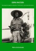 Obra Imatura (eBook, PDF)