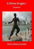 O Ultimo Dragão ! (eBook, PDF)
