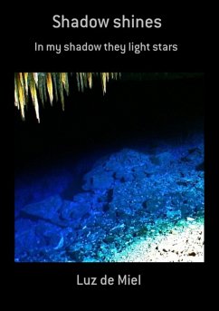 Shadow Shines (eBook, PDF) - de Miel, Luz