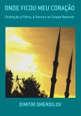 Onde Ficou Meu Coração (eBook, PDF)