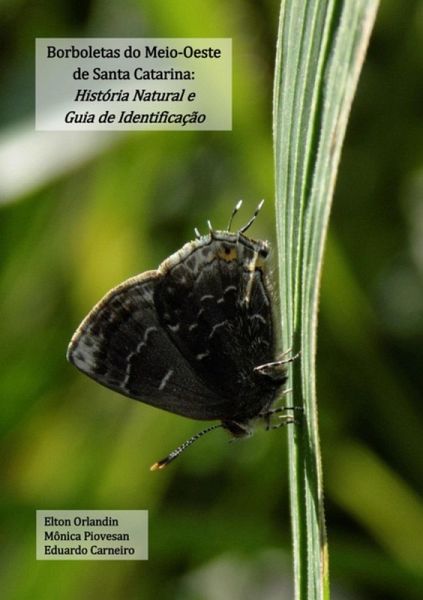 Borboletas Do Meio-oeste De Santa Catarina: História Natural E Guia De Identificação (eBook, PDF)